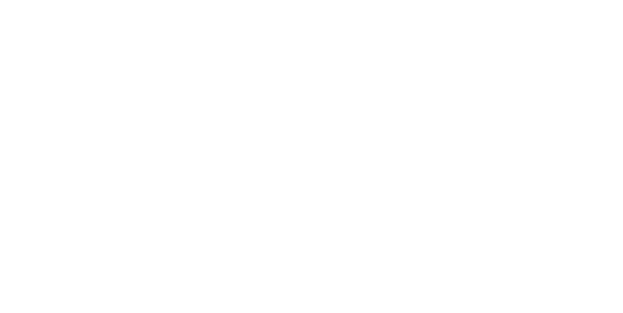 York 1